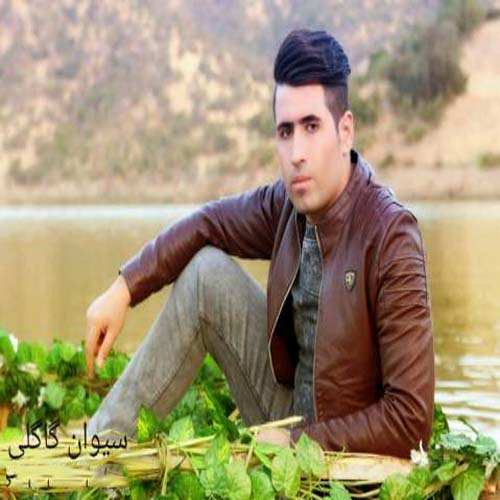 سیوان گاگلی سه رخه سه ر بالم